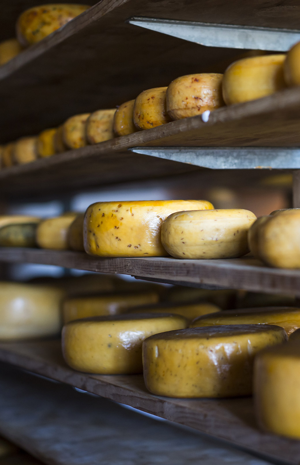 オランダの伝統的ゴーダチーズと持続可能性を追求するDe Producent